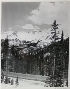 Image description is not available for 2007.021